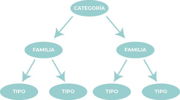 categorias familias y tipos